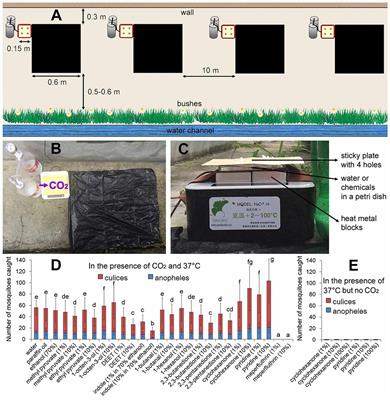 Carbon Dioxide, Odorants, Heat and Visible Cues Affect Wild Mosquito Landing in Open Spaces